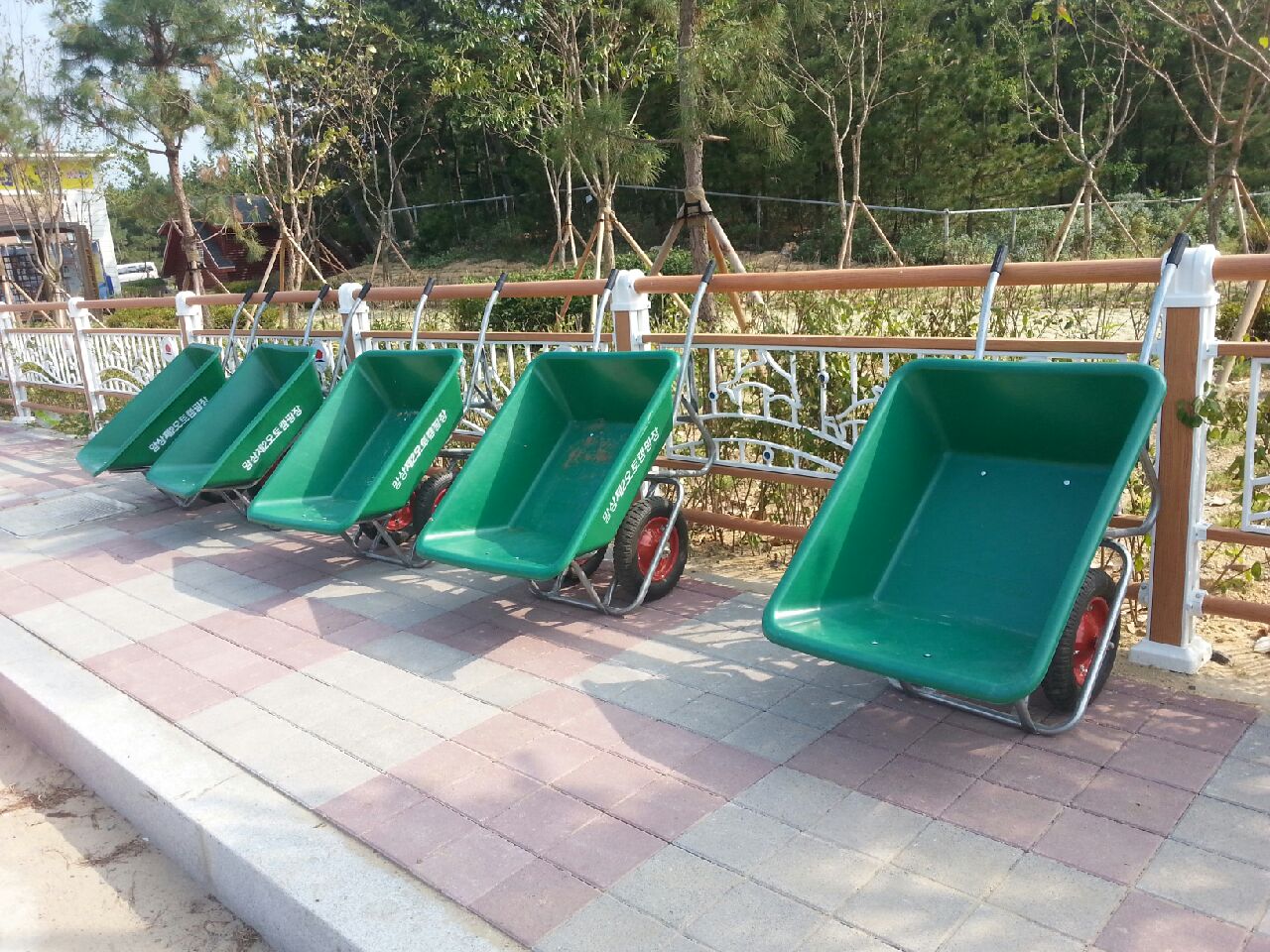 20140721_155935.jpg